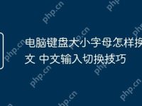 电脑键盘大小字母怎样换成中文 中文输入切换技巧-路由网