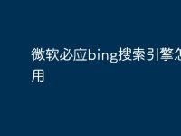 微软必应bing搜索引擎怎么用-路由网