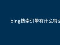 bing搜索引擎有什么特点-路由网
