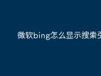 微软bing怎么显示搜索引擎-路由网