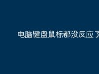 电脑键盘鼠标都没反应了-路由网