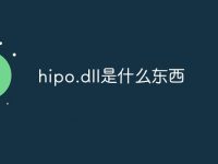 hipo.dll是什么东西-路由网