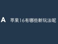 苹果16有哪些新玩法呢-路由网