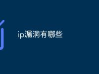 ip漏洞有哪些-路由网