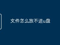 文件怎么放不进u盘-路由网
