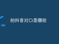 拍抖音对口是哪些-路由网