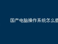 国产电脑操作系统怎么查看-路由网