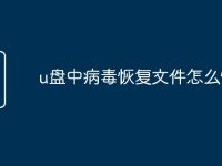 u盘中病毒恢复文件怎么恢复-路由网