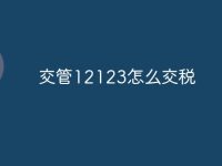 交管12123怎么交税-路由网