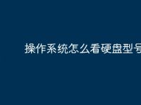 操作系统怎么看硬盘型号-路由网
