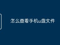 怎么查看手机u盘文件-路由网