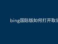 bing国际版如何打开取词-路由网