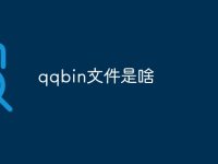qqbin文件是啥-路由网