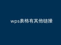 wps表格有其他链接-路由网