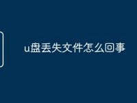 u盘丢失文件怎么回事-路由网