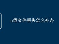u盘文件丢失怎么补办-路由网