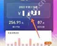 淘宝人生账单查询位置-路由网