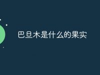 巴旦木是什么的果实-路由网