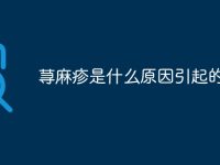 荨麻疹是什么原因引起的-路由网