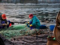 网卡驱动损坏怎么修复-路由网