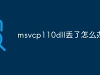 msvcp110dll丢了怎么办-路由网