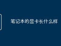 笔记本的显卡长什么样-路由网
