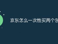 京东怎么一次性买两个东西-路由网