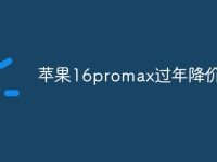 苹果16promax过年降价吗-路由网