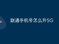 联通手机号怎么升5G-路由网