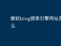 微软bing搜索引擎网址是什么-路由网