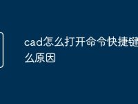 cad怎么打开命令快捷键是什么原因-路由网