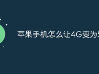 苹果手机怎么让4G变为5G-路由网