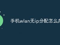 手机wlan无ip分配怎么办-路由网