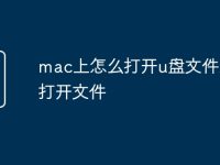 mac上怎么打开u盘文件怎么打开文件-路由网
