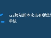 xss跨站脚本攻击有哪些语言学校-路由网