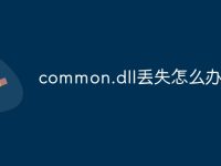 common.dll丢失怎么办-路由网