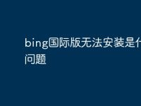 bing国际版无法安装是什么问题-路由网