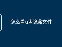怎么看u盘隐藏文件-路由网