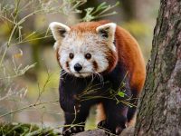 中国移动光猫设置教程-路由网