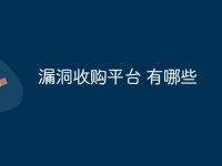 漏洞收购平台 有哪些-路由网