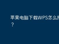 苹果电脑下载WPS怎么打不开?-路由网