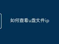 如何查看u盘文件ip-路由网