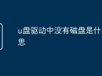 u盘驱动中没有磁盘是什么意思-路由网