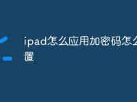 ipad怎么应用加密码怎么设置-路由网