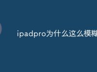 ipadpro为什么这么模糊-路由网