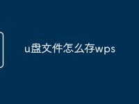 u盘文件怎么存wps-路由网