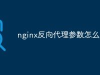 nginx反向代理参数怎么传输-路由网