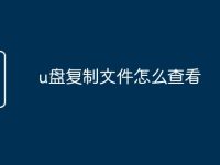 u盘复制文件怎么查看-路由网