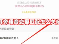 耳旁语音恋爱匹配怎么关闭-路由网