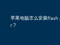 苹果电脑怎么安装flash player?-路由网
